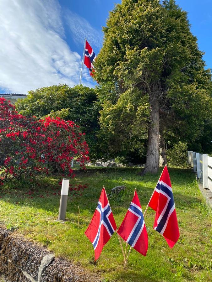 Fjord studio Sunde Eksteriør bilde